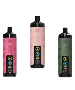 VAPGO Chill Shisha 30K Ice Control Disposable Vape (0.6% 30,000 Puffs)
