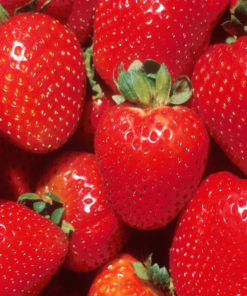 Strawberry (Red Touch) – Alchemy Flavour Art